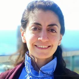 Leila S. Hojat